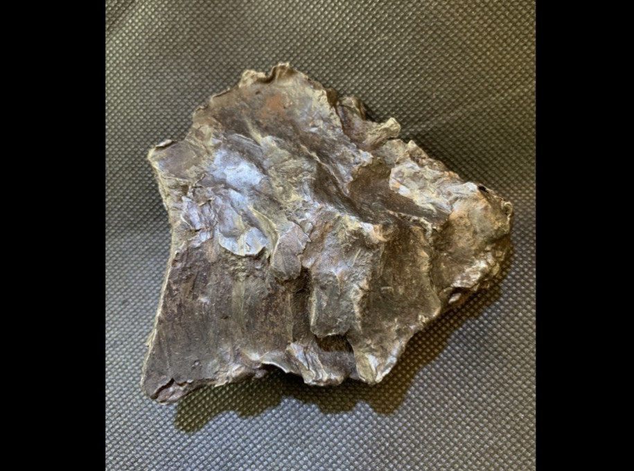 ANCIENT PHARAOH ETCHED IMAGE FOUND ON IRON METEORITE SPEAR ARTIFACT RELIC
