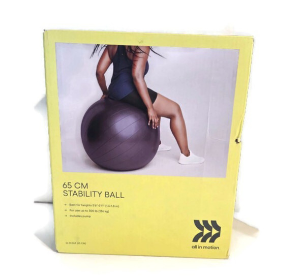 All In Motion Stability Ball 65 CM Exercise With Pump