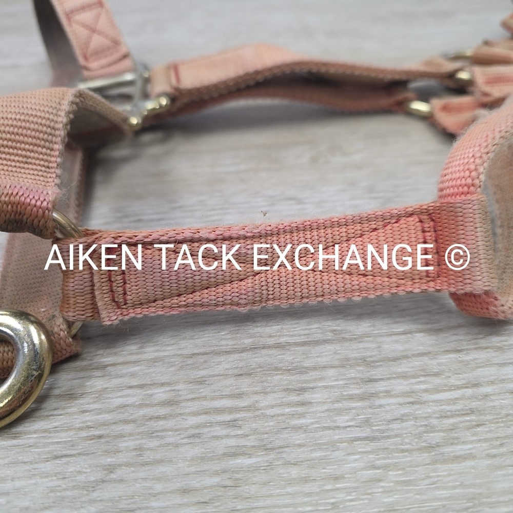 BARGAIN BUNDLE: Nylon Halter, Size Small with Lead Rope (Read Description)
