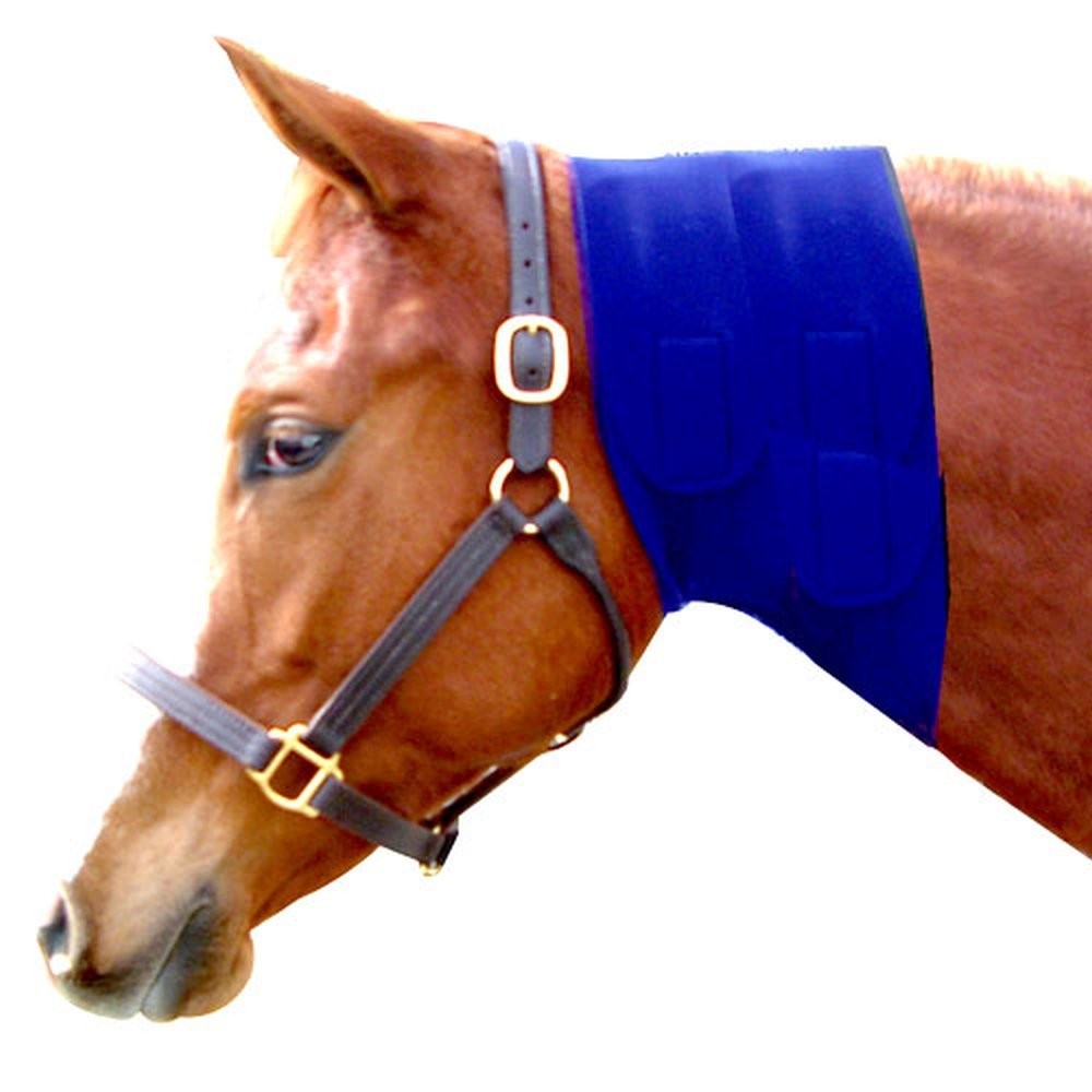 Jowl Sweat 10" Blue Neoprene, Blue, 10