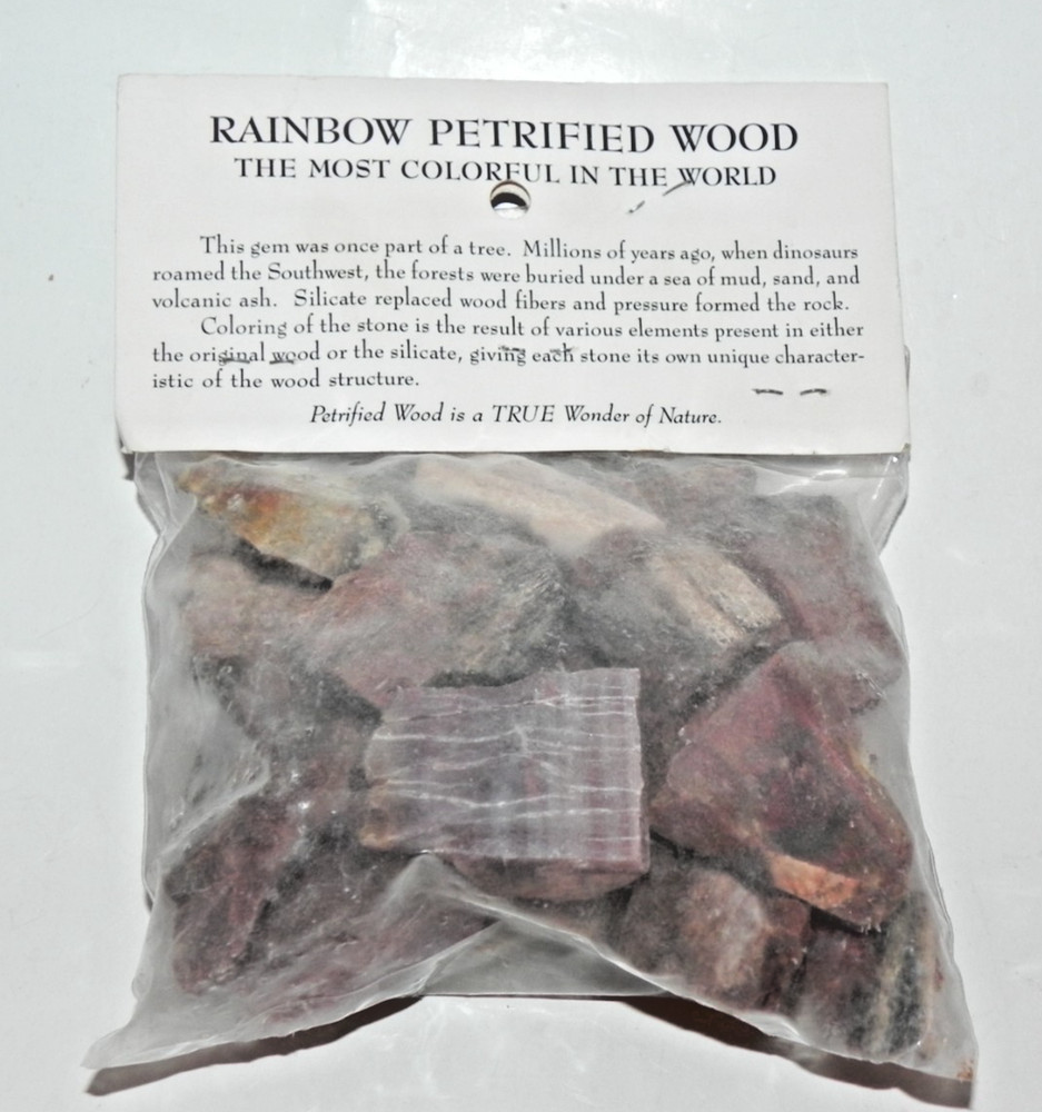 Rainbow Petrified Wood assortment - Free Ship!