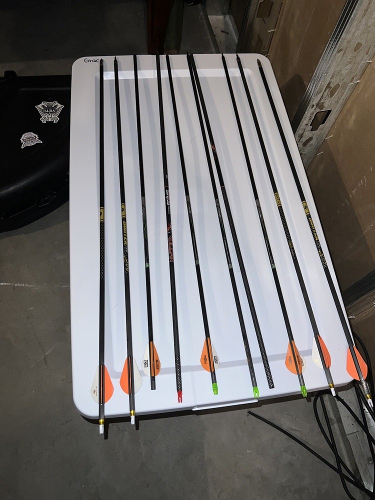 Bear Paradox Compound Bow