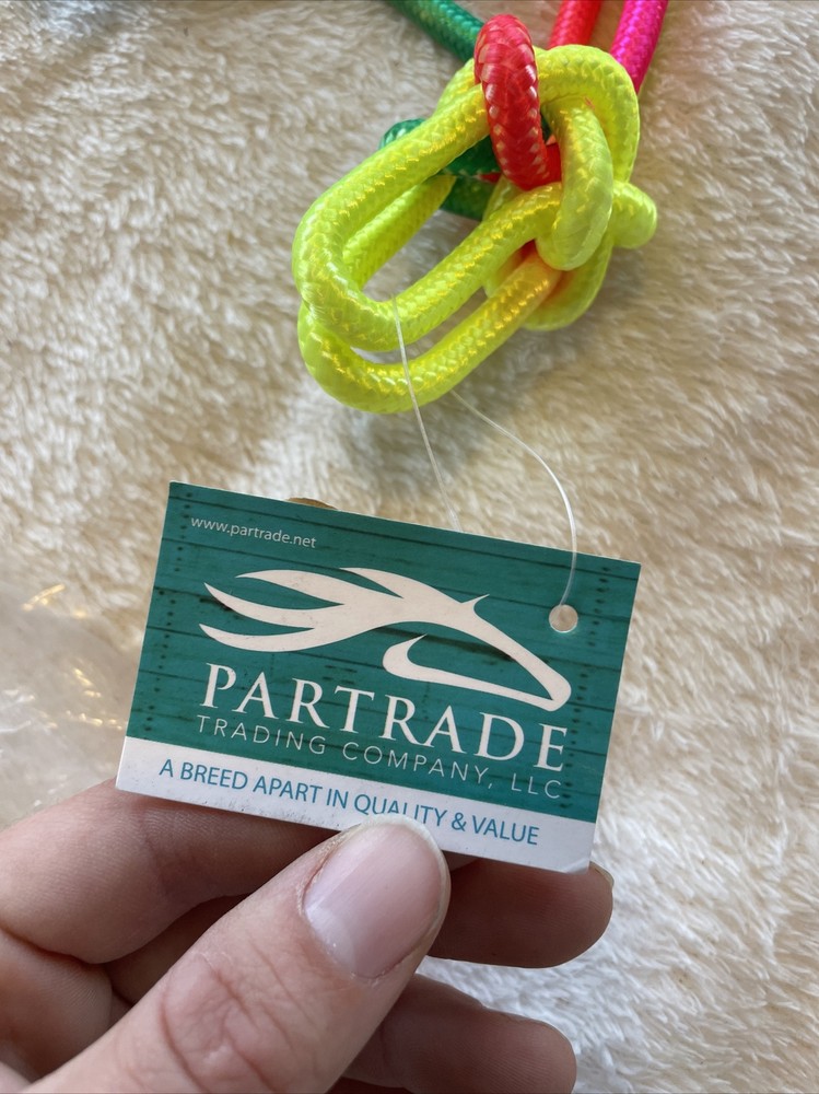 Miniature Horse Rainbow Rope Halter