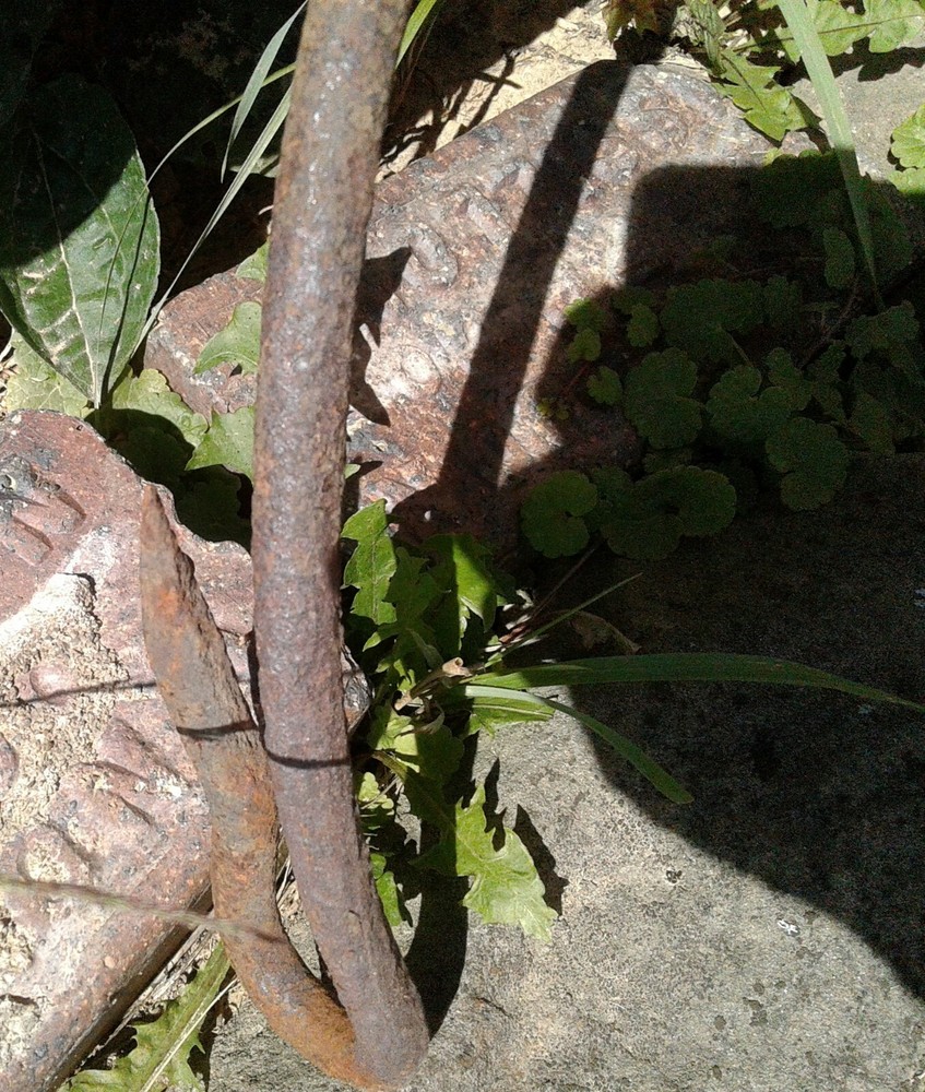 Antique Hand Forged Primitive Iron Butcher Kettle Handle 1870s