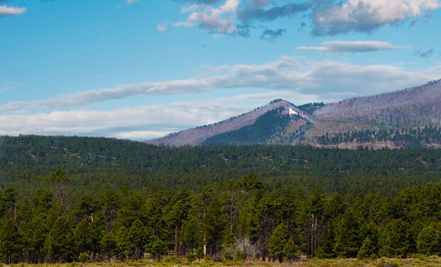 Model Railroad Backdrop Flagstaff by TrainJunkies