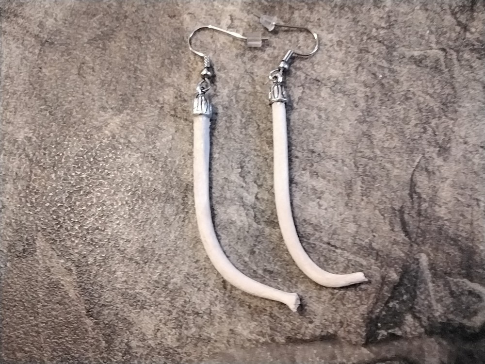 Coon Dick Earrings For 1 Pr.  Raccoon Baculum Earrings From USA