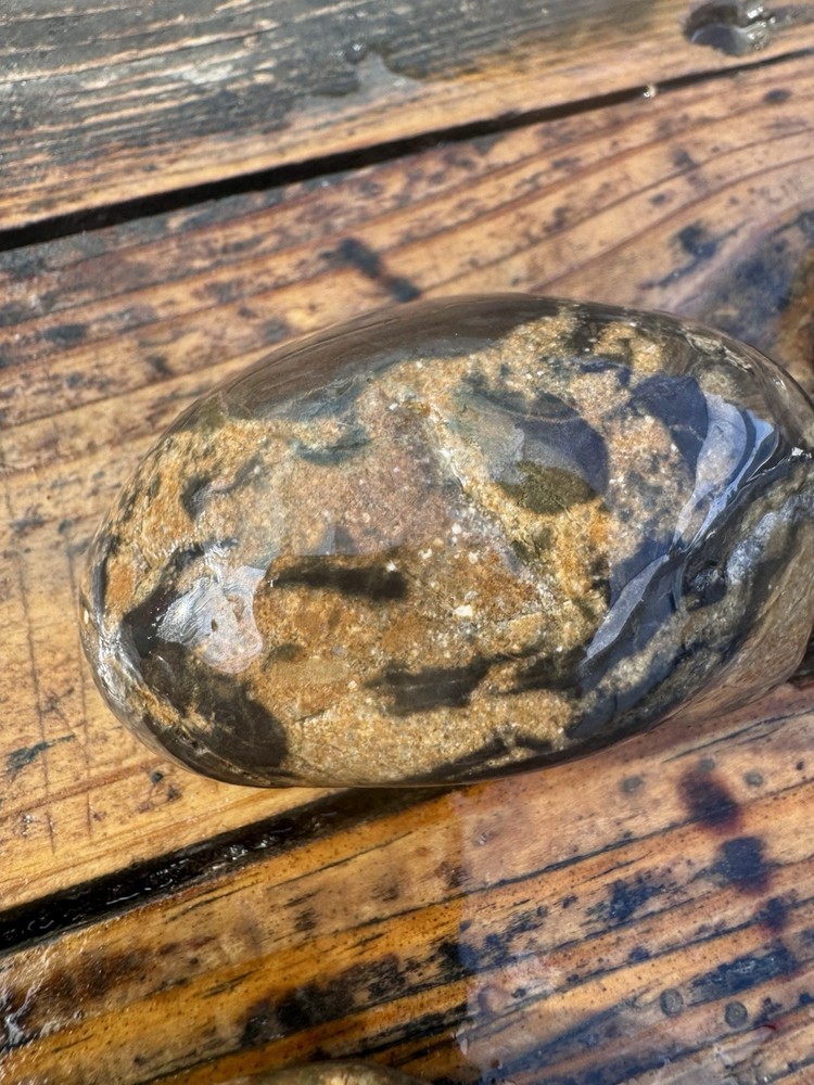 Jasper Rough Lapidary Gorgeous