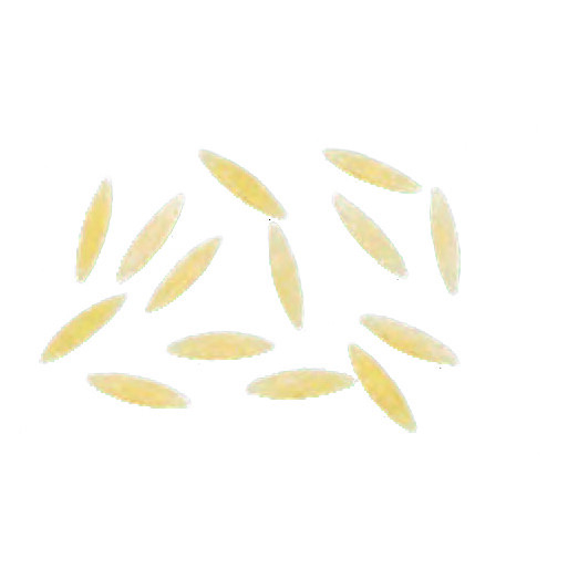 Arcobaleno AEX90 & AEX90M#307 Pasta Die