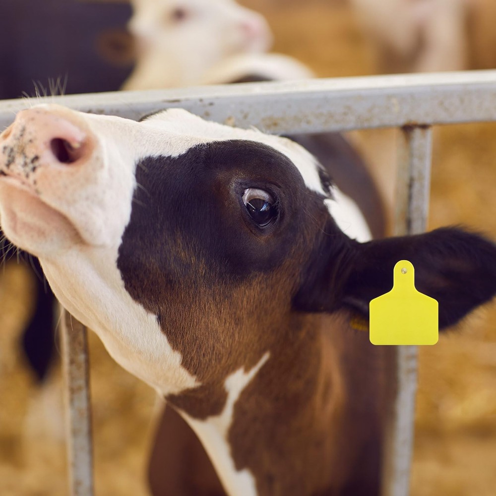 100 Pcs Blank Cattle Ear Tags Large Plastic Precision Animal Identification B...