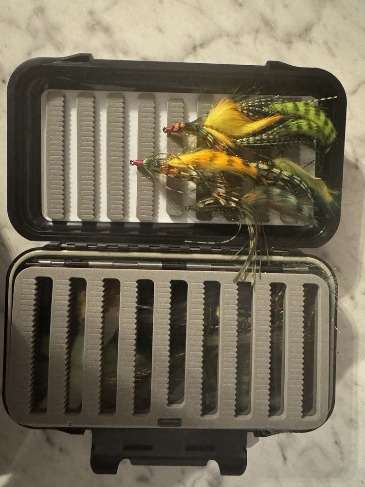 Fishing Fly Box With Various Flies