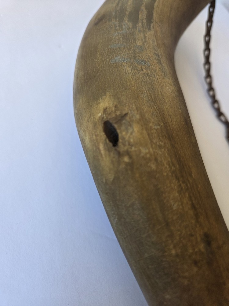 2-Antique Powder Horn
