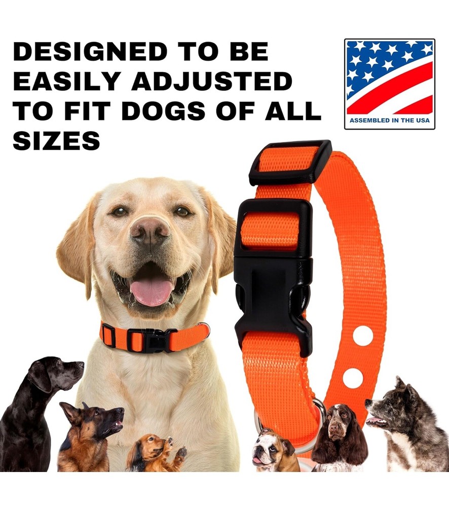 Nylon E Collar Replacement Strap - Shock Collar Replacement Collar Pink