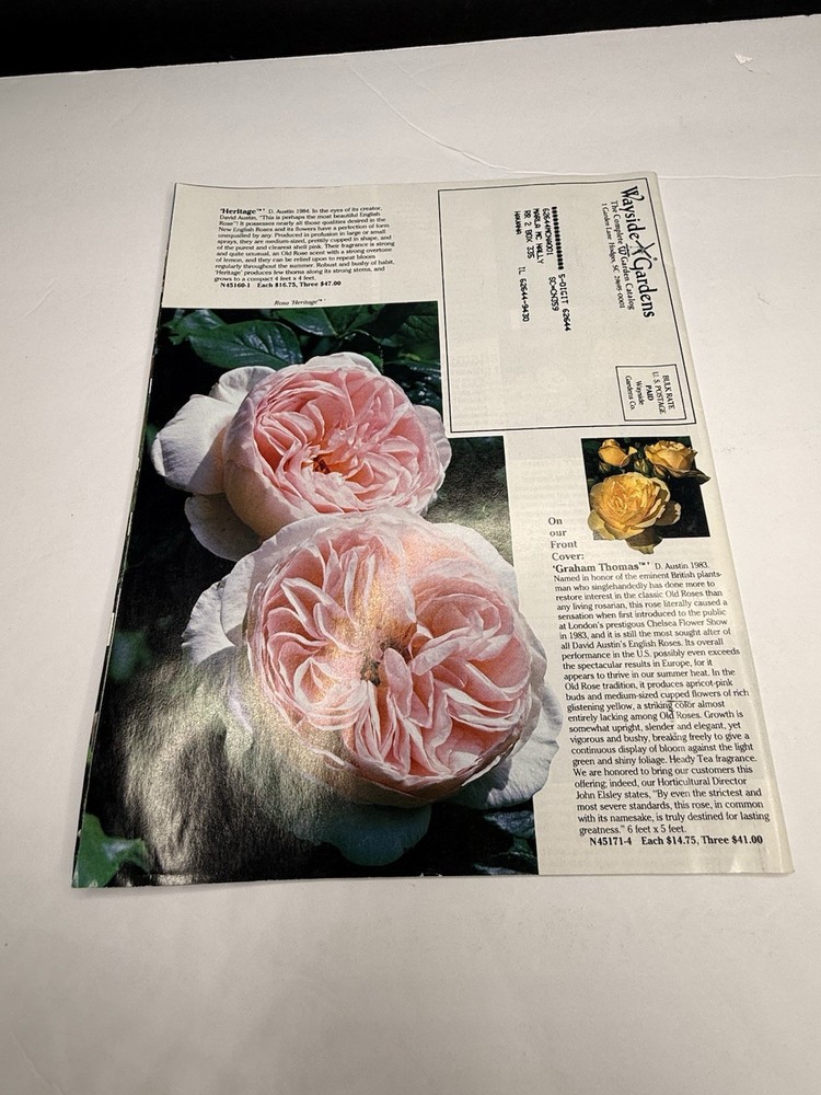 Wayside Gardens Seed Catalog 1991 (As Seen)