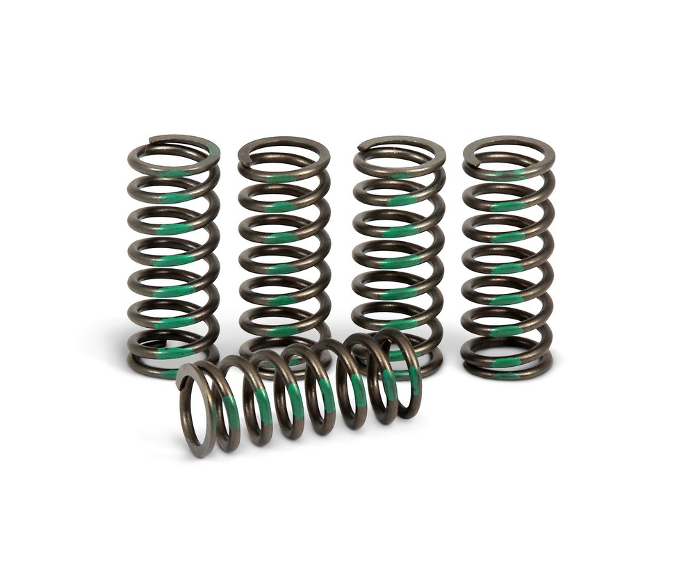 Pro Circuit Clutch Springs CSK09450-CS
