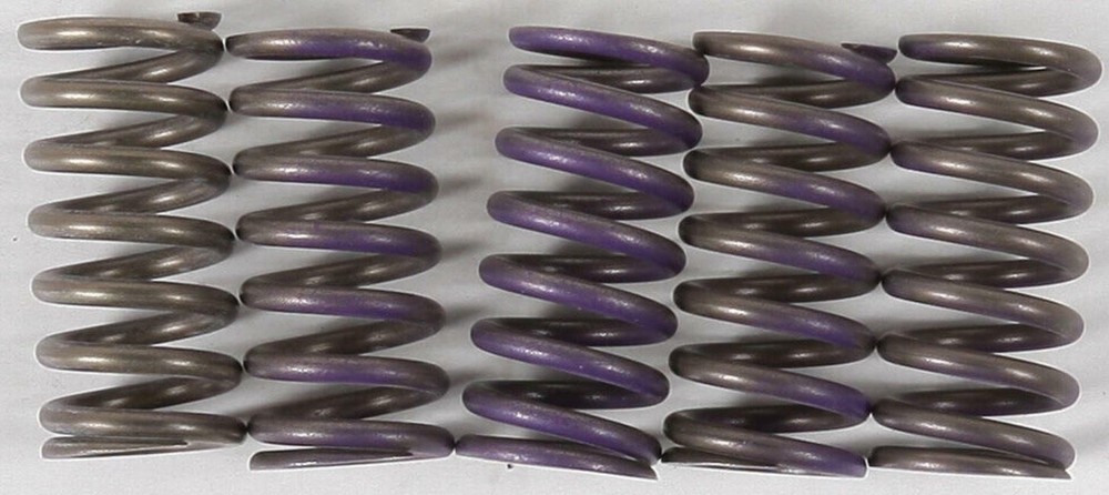 Hinson Clutch Spring Kit CS341-5-001 Performance