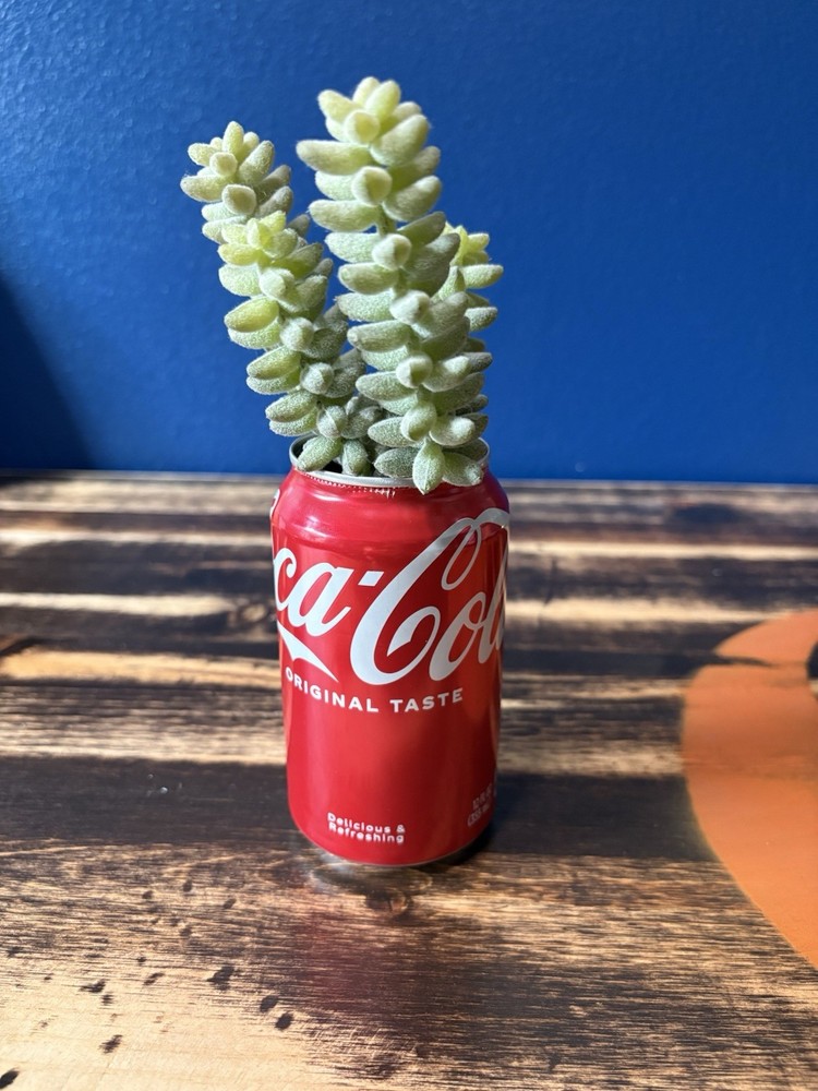 Coca-Cola Can Flower Planter