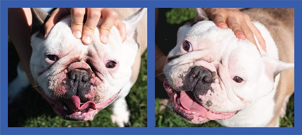 Squishface Flexible Silicone Dog Wrinkle Paste Applicator - Gentle Application