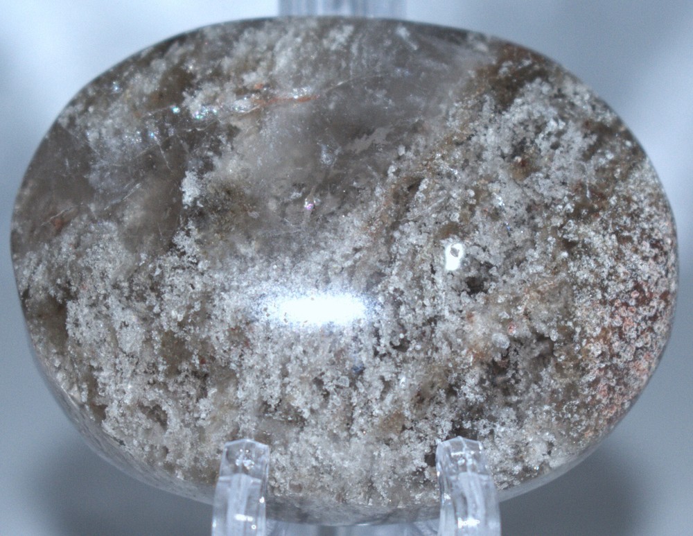Thousand Layer Palm Stone  2.11"/75 Grams
