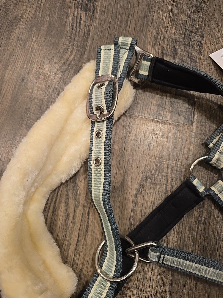 Horse Halter