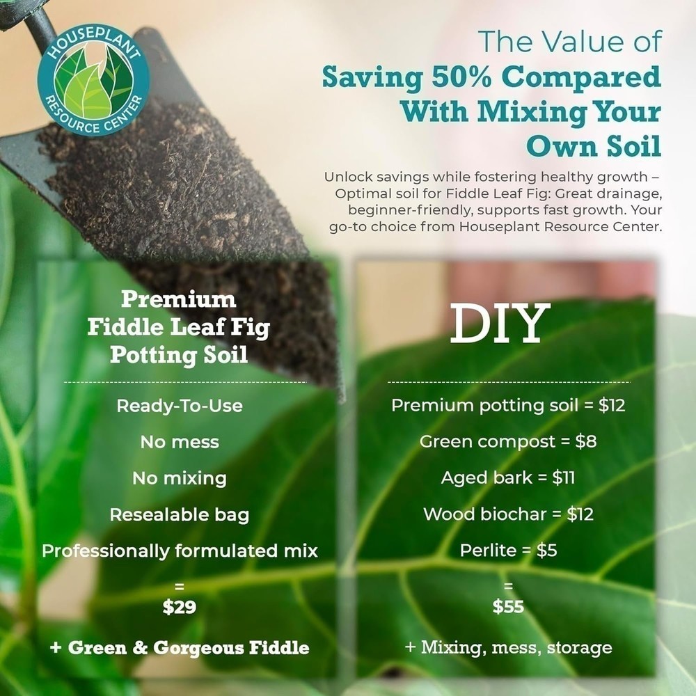 Fiddle Leaf Fig Soil – Organic, Fast-Draining Mix for Growth & Healthy Roots