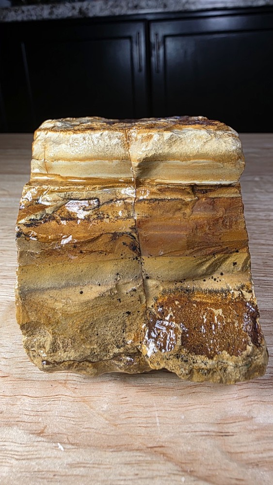 owyhee picture jasper