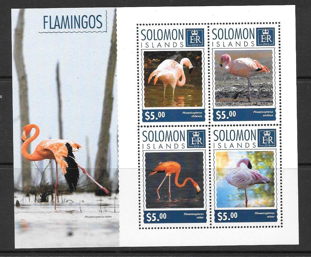 SOLOMON ISLANDS 2014 FLAMINGOS (1) MNH