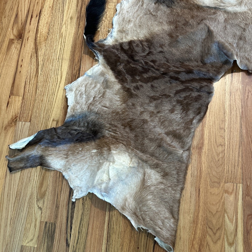 African Antelope Partial Hide (Back Half) – (Left Front) Tanned
