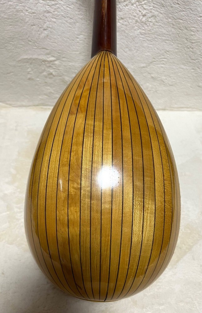 SUZUKI Mandolin M-30 with hard case