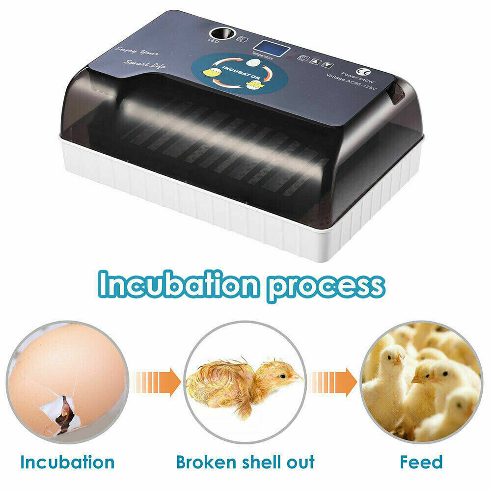Incubator Automatic Digital Hatching 12 Eggs Mini Machine For Quail Chick Bird