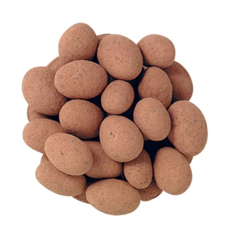 Dusted Cocoa Almonds