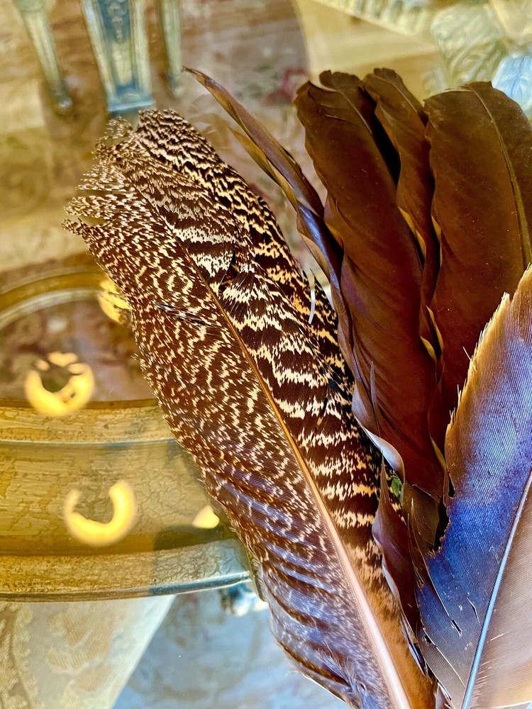 Peacock Inner Feathers Gold Brown 7 Feathers/Bunch Height 12.5” Width 3”