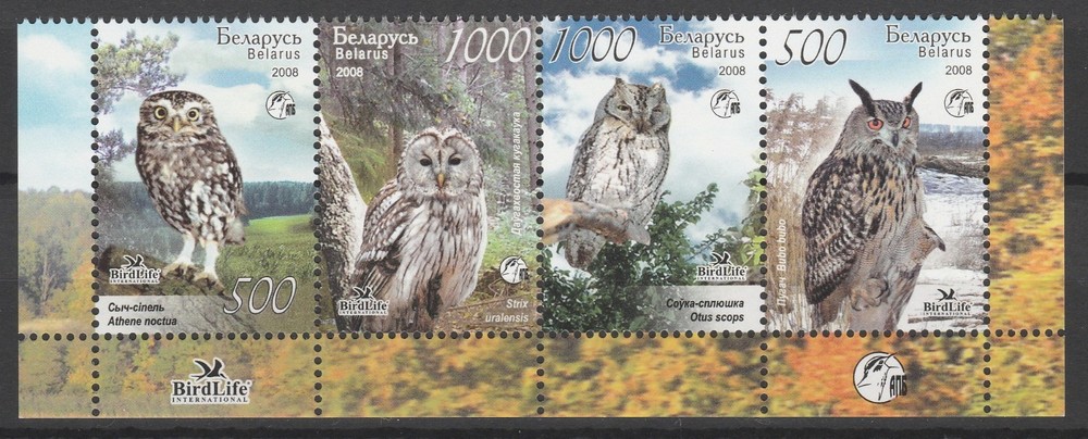 Belarus 2008 Birds, Owls 4 MNH stamps