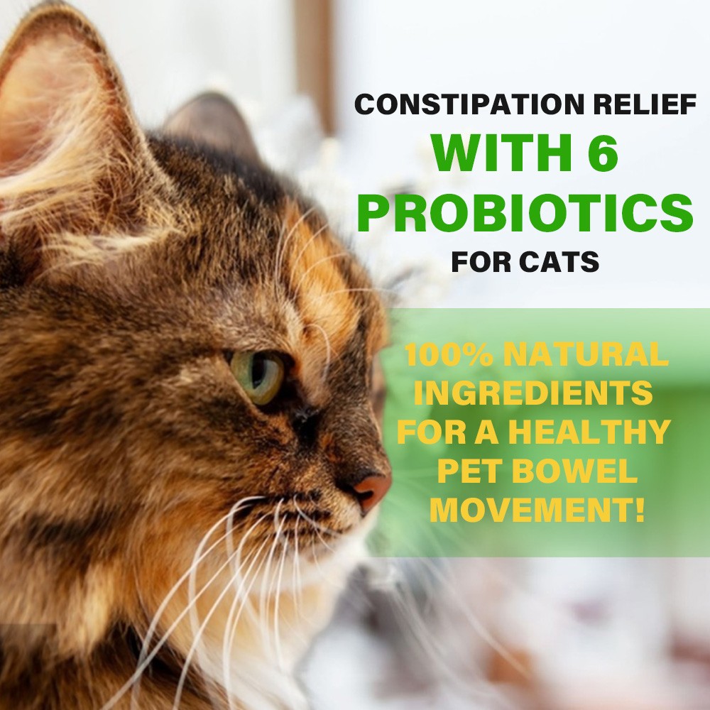 Cat-specific probiotic constipation capsules softening feces improving digestion
