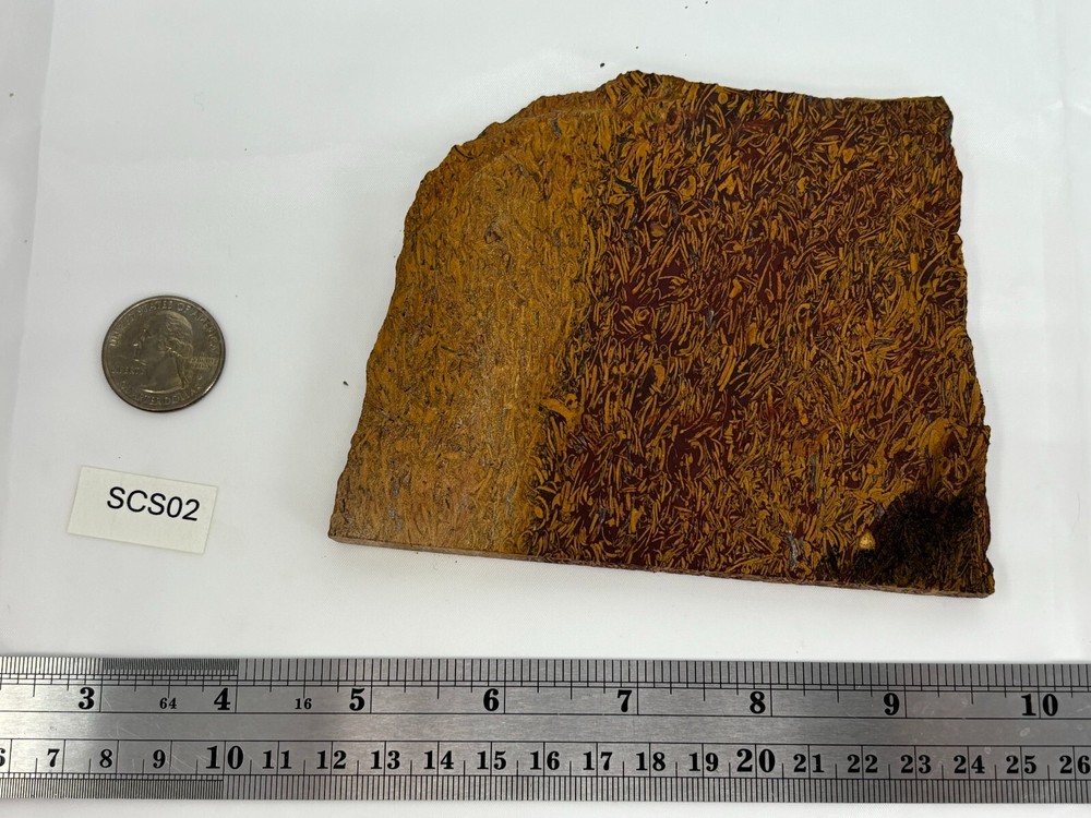Script Stone Jasper Slab Cabbing Lapidary Collecting Combo Ship Avail