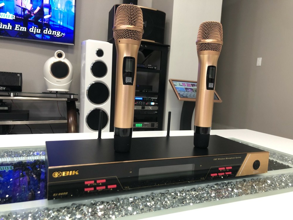 BIK BJ-U600 Wireless Microphone System (Japan)