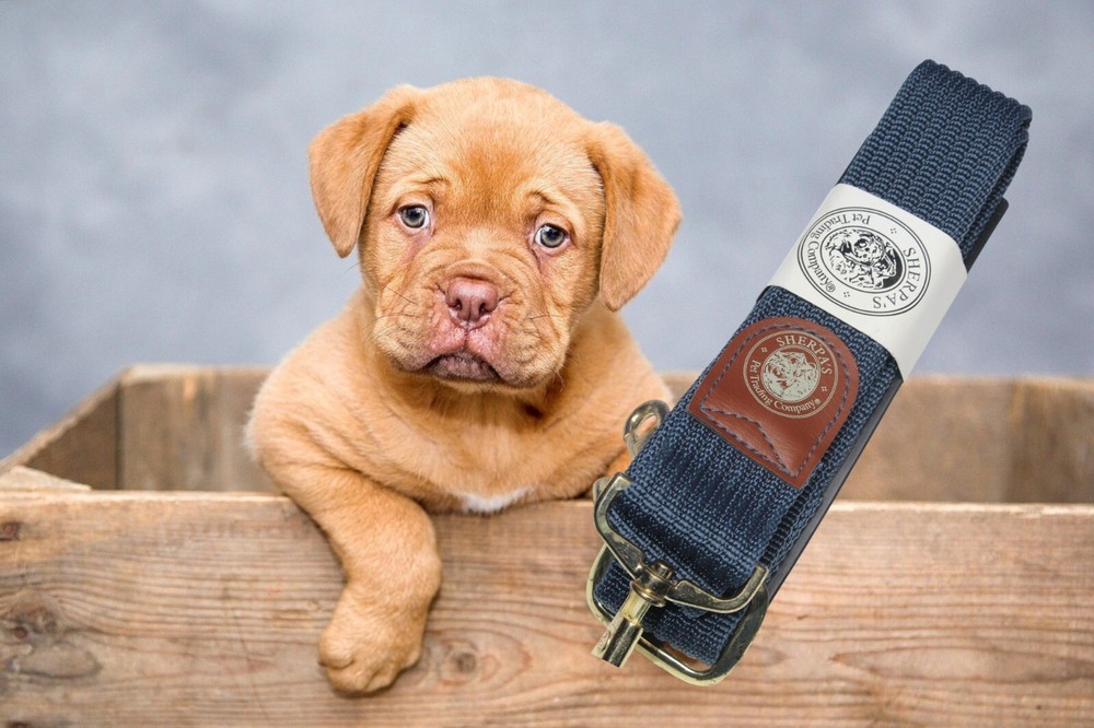 Sherpa Pet Carrier Strap Only blue - NEW accessory
