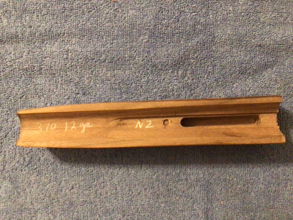 Winchester Model 370 12ga Forend Walnut Repro