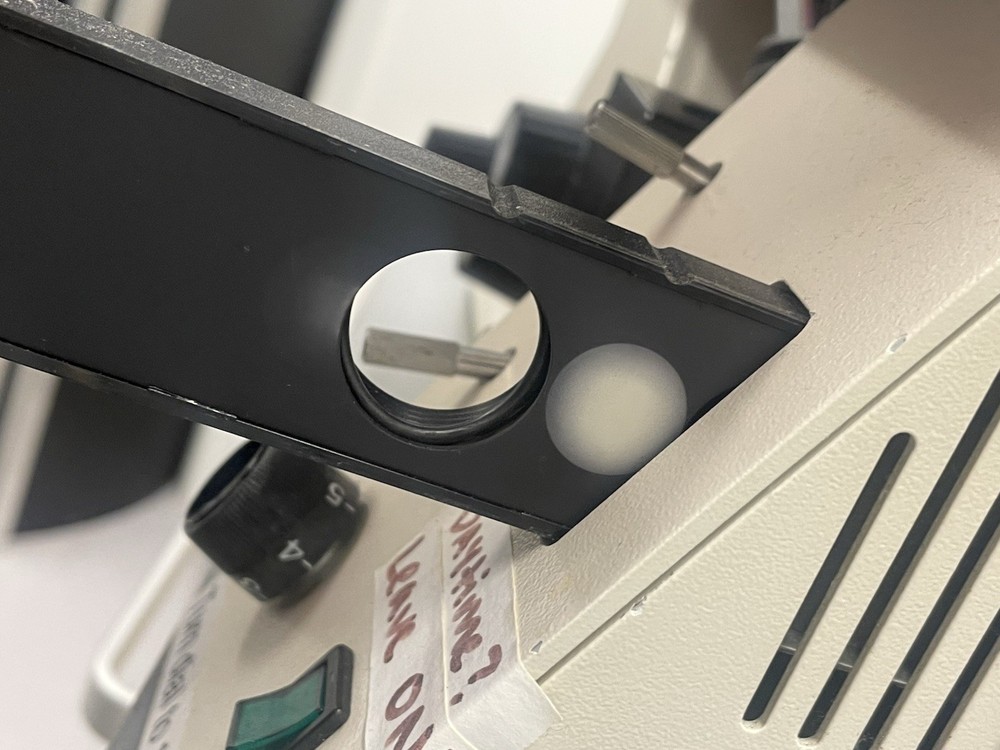 CARL ZEISS AXIOVERT 25 INVERTED PHASE CONTRAST MICROSCOPE with 4 objectives