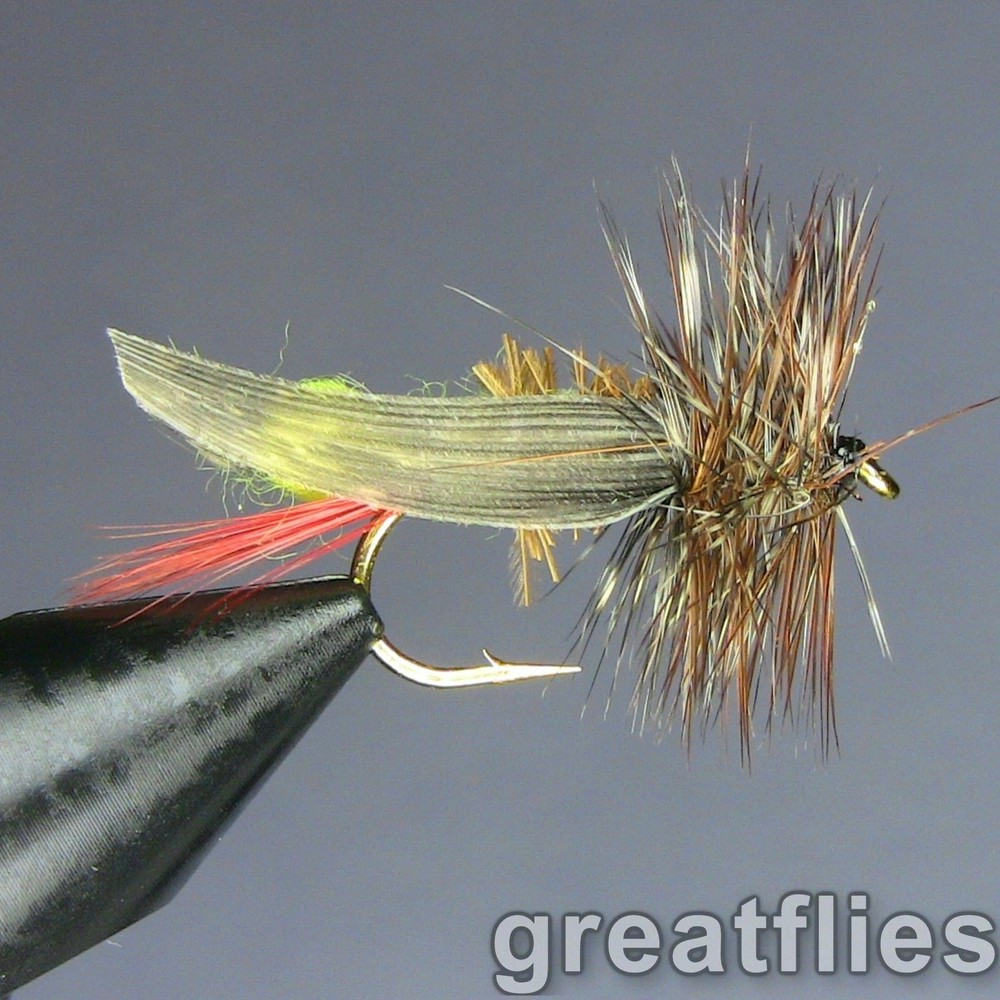 1 dozen (12) - Joe's Hopper