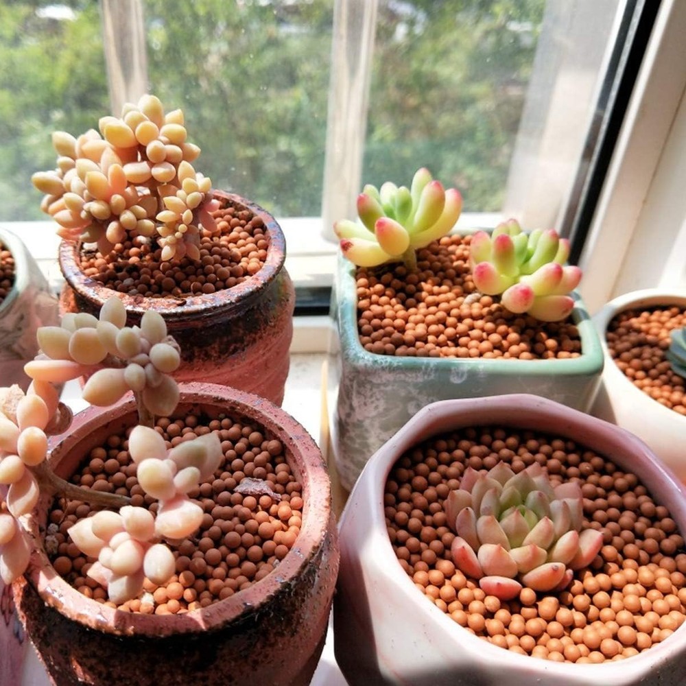 Eco-Friendly Clay Pebbles for Efficient Soil Drainage and Moisture Retention