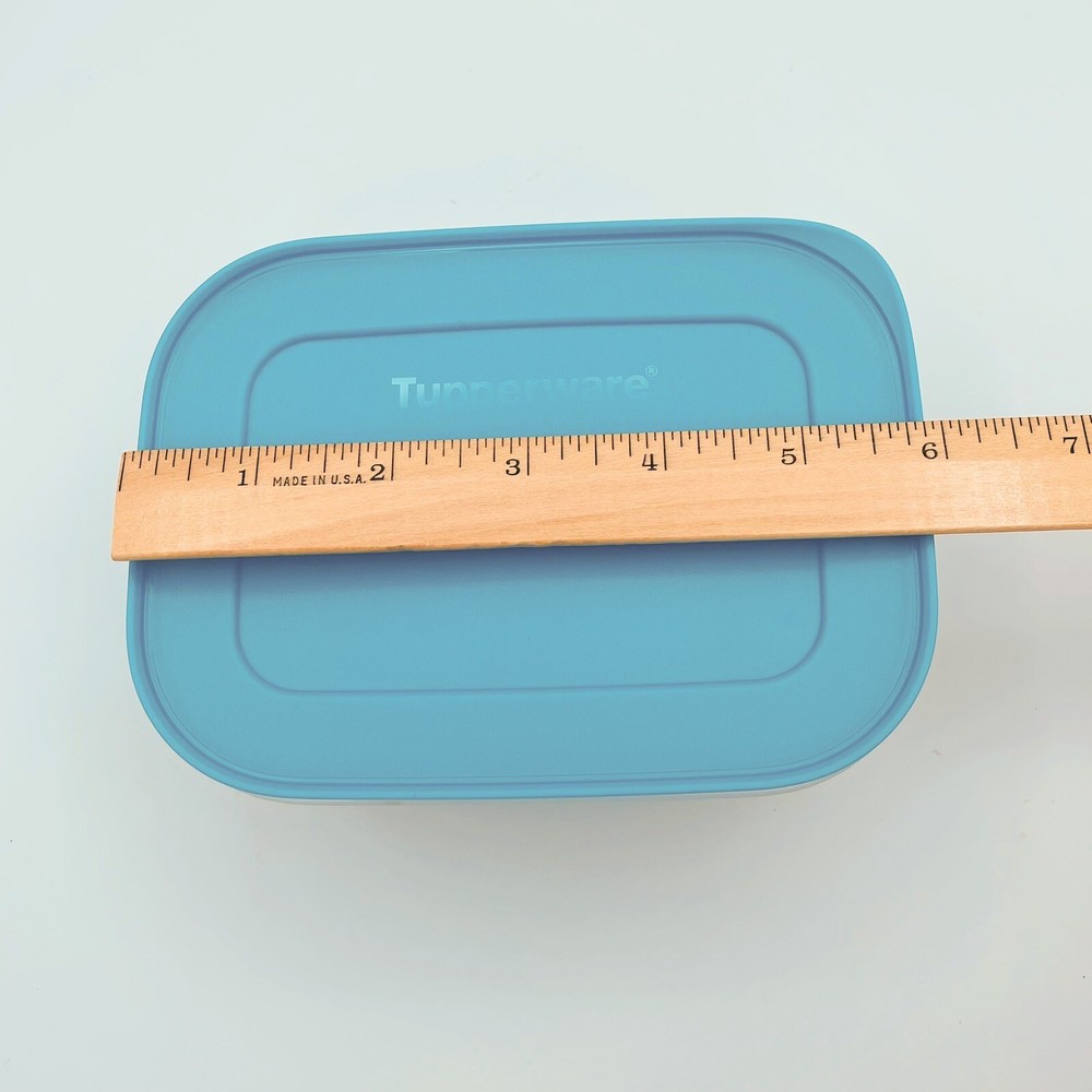 2 Plastic Tupperware Container for Freezer 450ml & 1.1 L Blue Covers