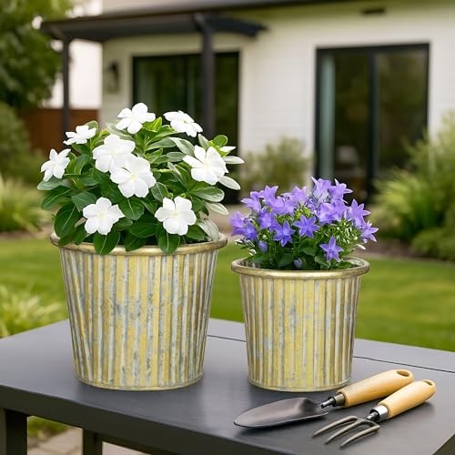 Metal Rustic Flower Pots - 3 PCS Galvanized Planters Rustproof Durable Gold