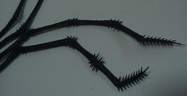 Rubber Black Spider 17" 1970s Bat Vintage