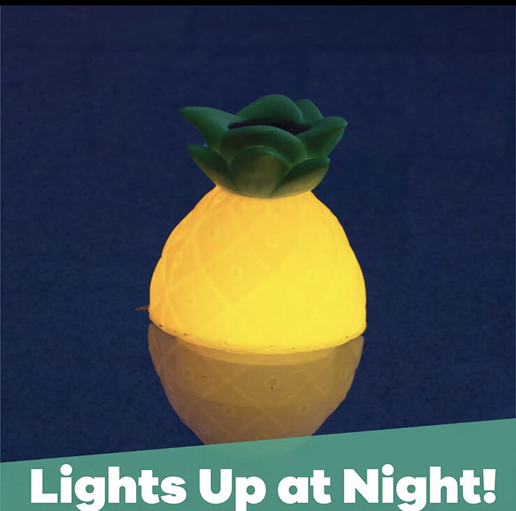 Solar Light Up Pool Chlorinator Pineapple