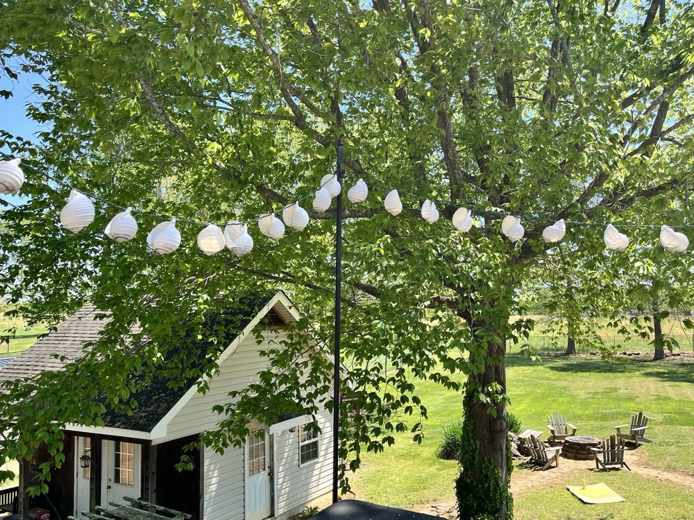 Sea Shell Patio Lights