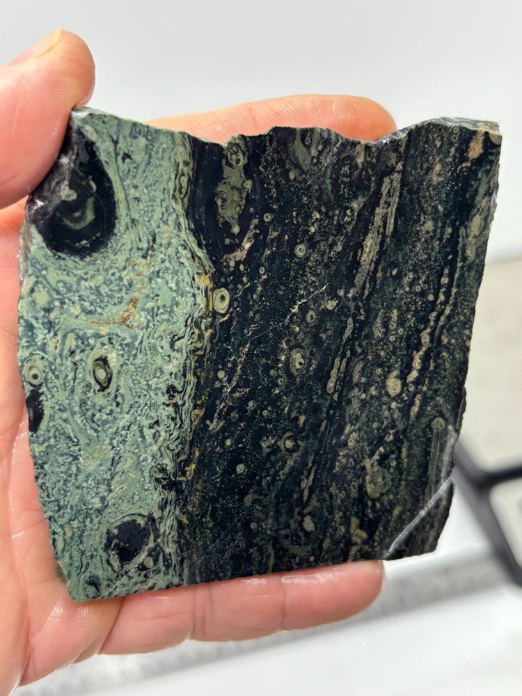 Kambaba Jasper Stromatolite Slab Lapidary Cabbing Combo Ship Avail