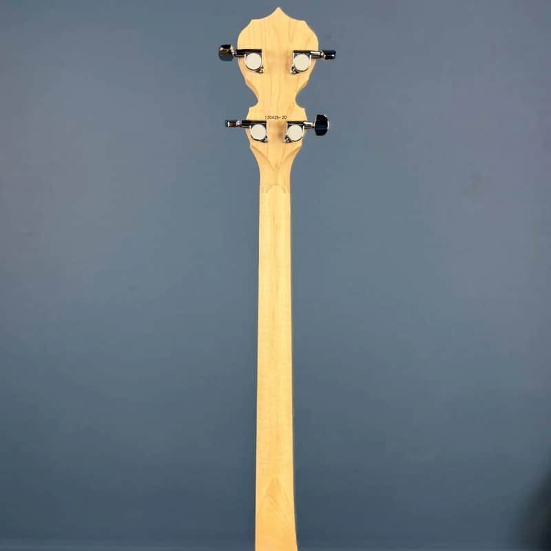 Deering Goodtime Two 19-Fret Demo