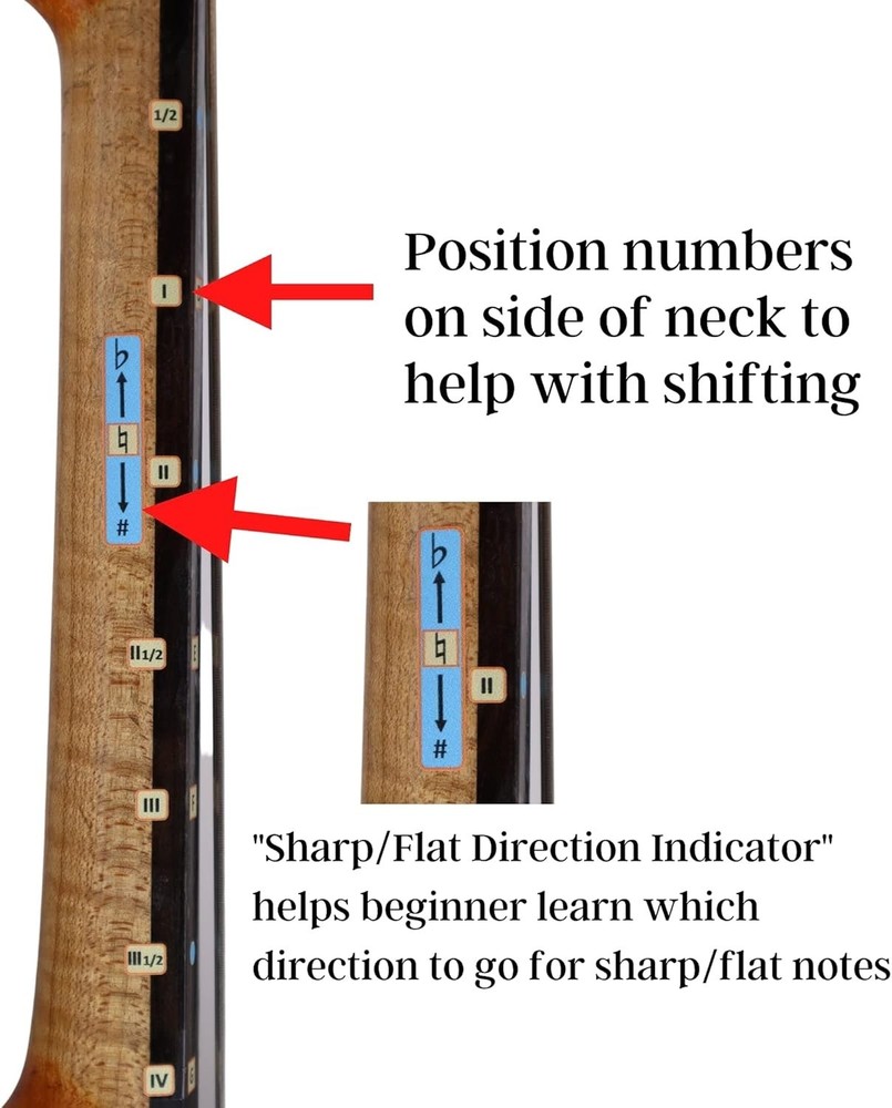 Cello Finger Guide Stickers for Learning Notes 4/4 Size Beginner to Intermediate