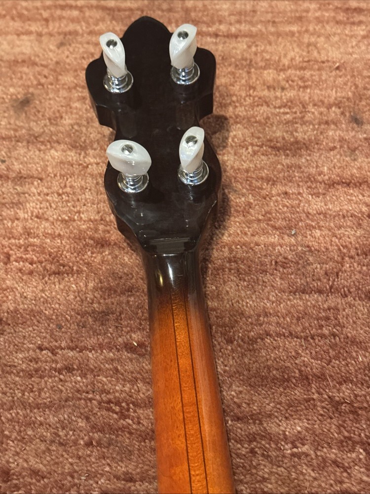 Alvarez Whyte Eagle 5-string Resonator Banjo with Original Hardshell Case