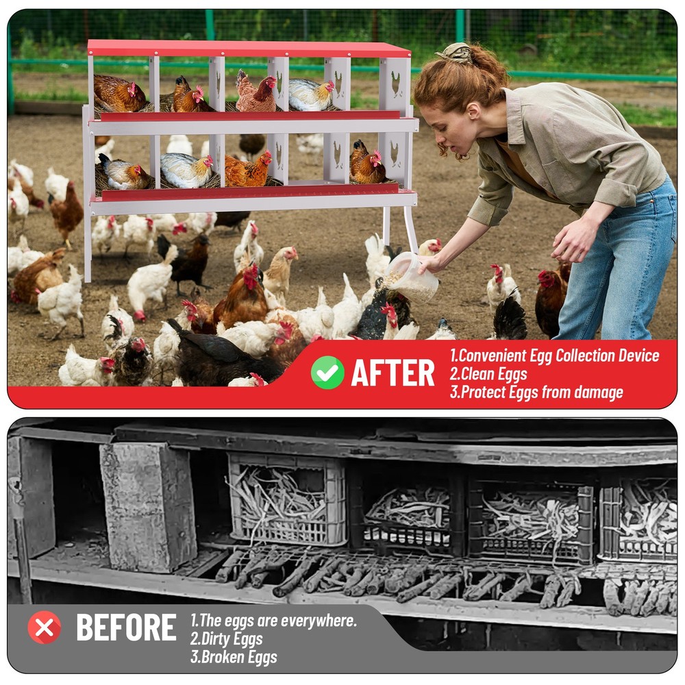 10 Holes Chicken Nesting Box, Metal Chicken Nesting Boxes, with Bracket Legs